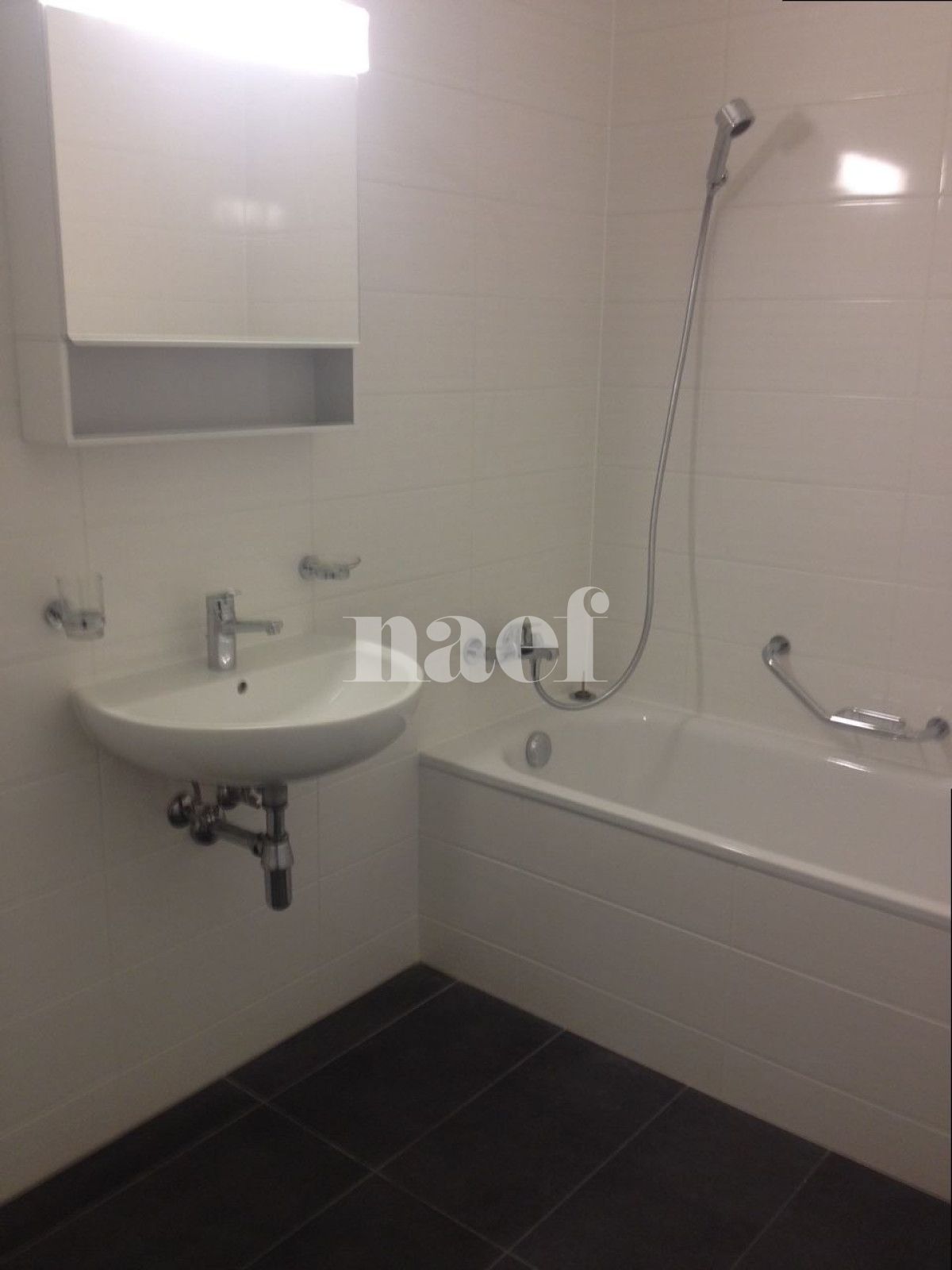 À louer : Appartement 5 Pieces Onex - Ref : 282713.9091 | Naef Immobilier