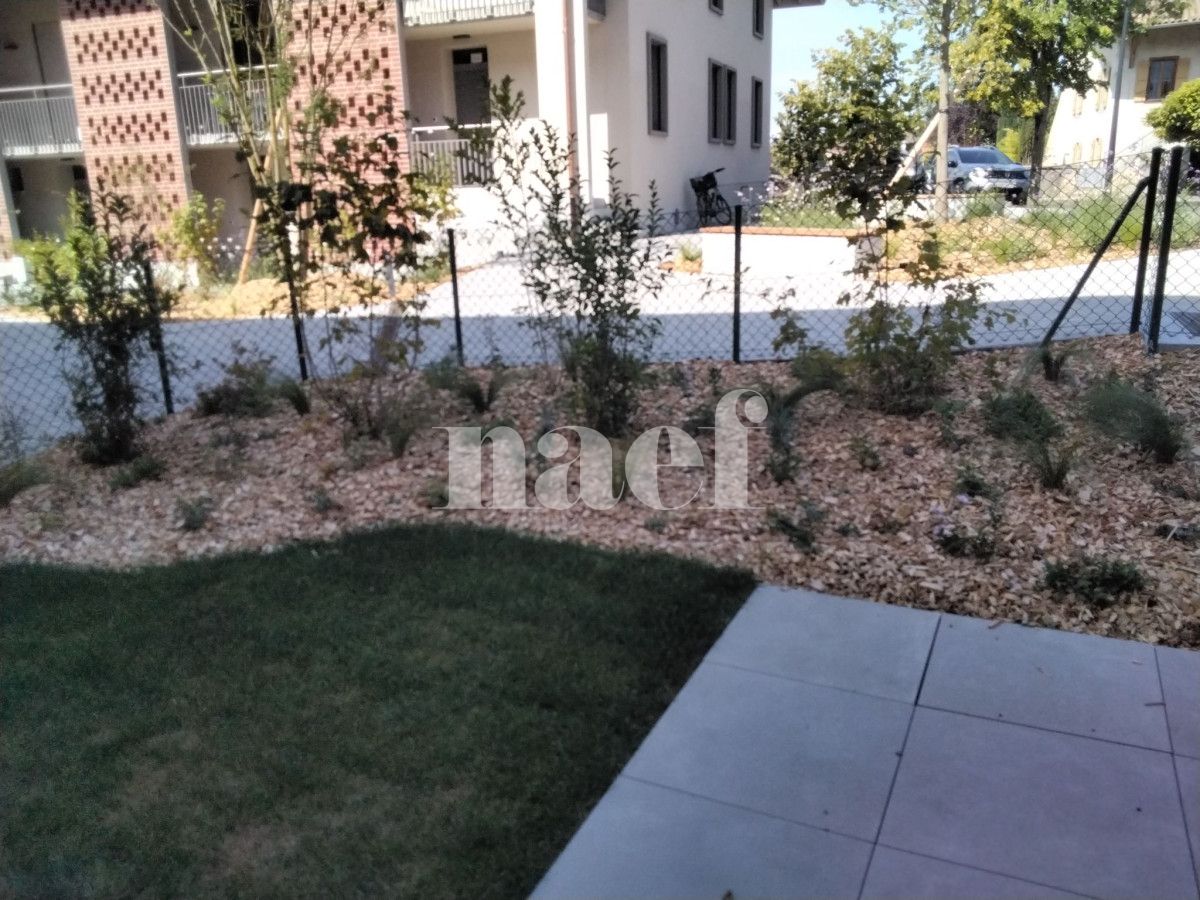 À louer : Appartement 2 Pieces Jussy - Ref : 283222.400301 | Naef Immobilier