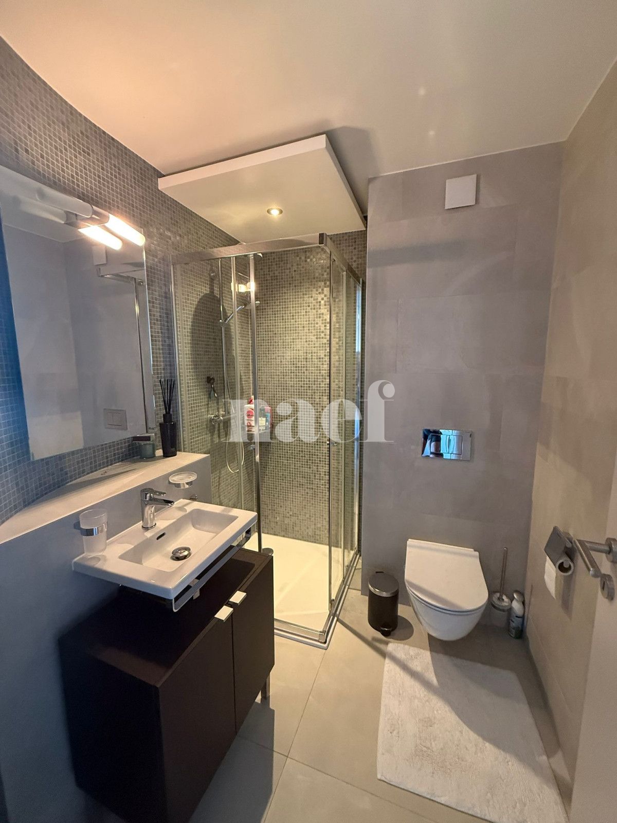 À louer : Appartement 3.5 Pieces Vich - Ref : 287636.2024 | Naef Immobilier
