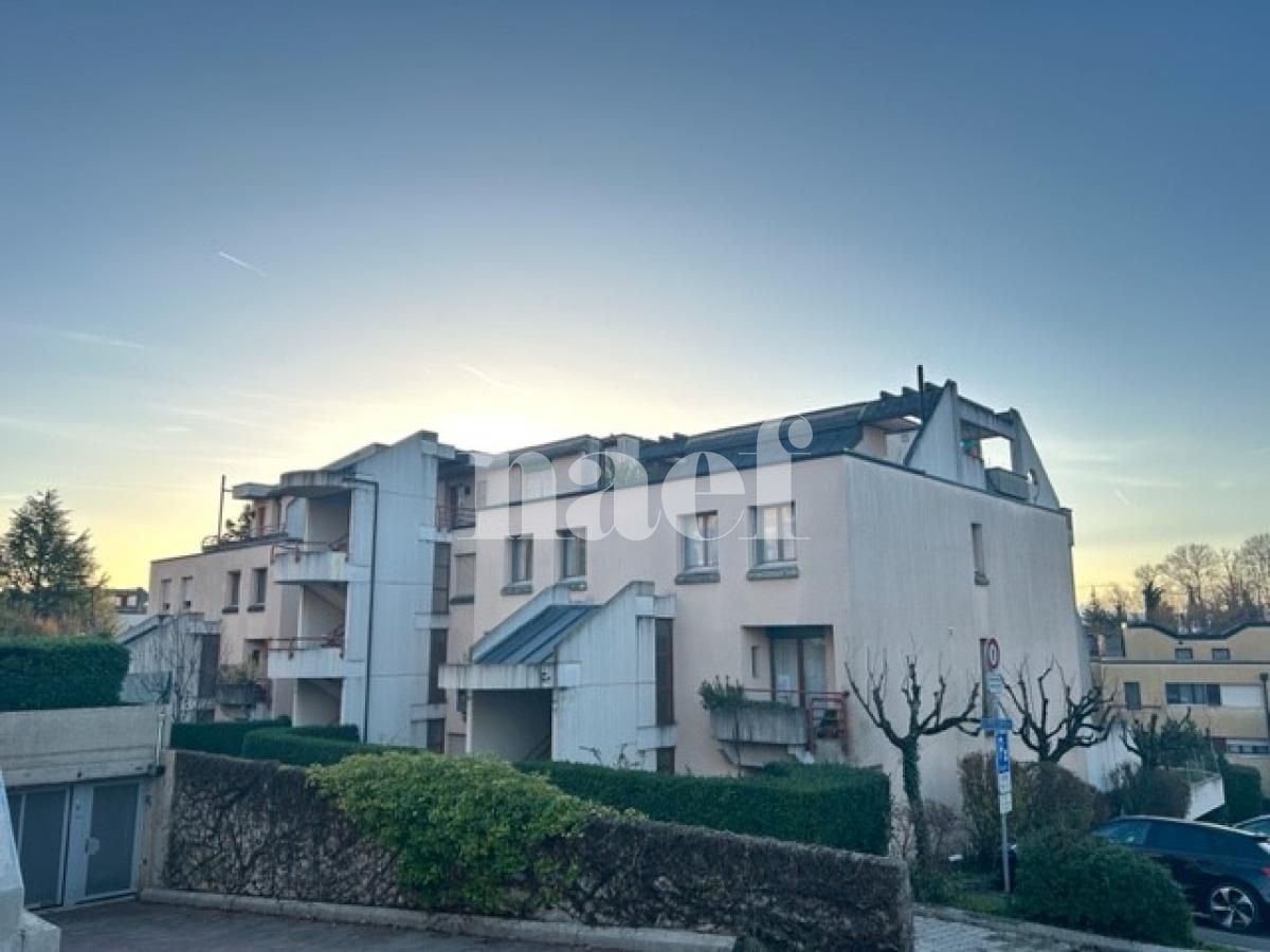 À louer : Dépôt Nyon - Ref : 288230.61014 | Naef Immobilier