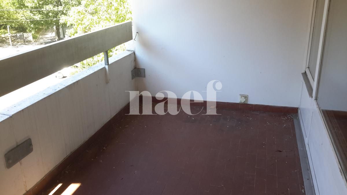 À louer : Appartement 2 Pieces Genève - Ref : 288504.2243 | Naef Immobilier