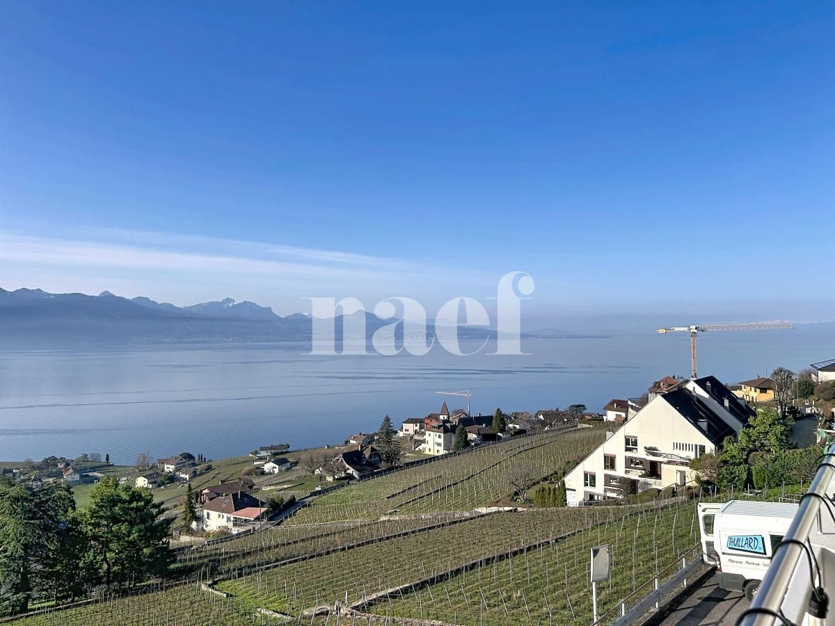 À louer : Appartement 1 Pieces Grandvaux - Ref : 296006.2002 | Naef Immobilier