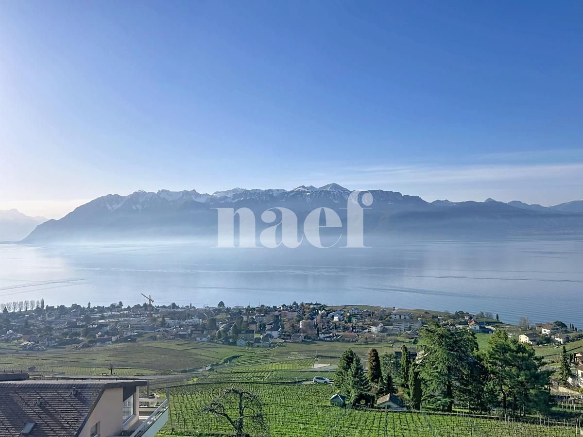 À louer : Appartement 1 Pieces Grandvaux - Ref : 296006.2002 | Naef Immobilier