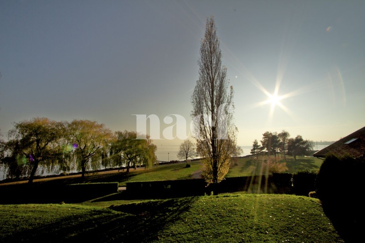 À louer : Appartement 1 Pieces Préverenges - Ref : 296046.5 | Naef Immobilier