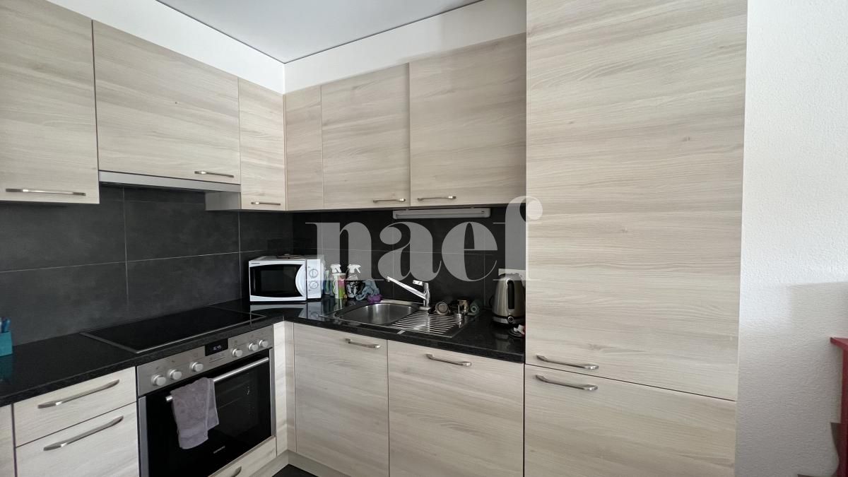 À louer : Appartement 1.5 Pieces Belfaux - Ref : 296078.2 | Naef Immobilier