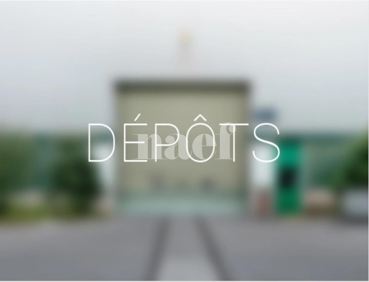 À louer : Dépôt Belfaux - Ref : 296078.81002 | Naef Immobilier