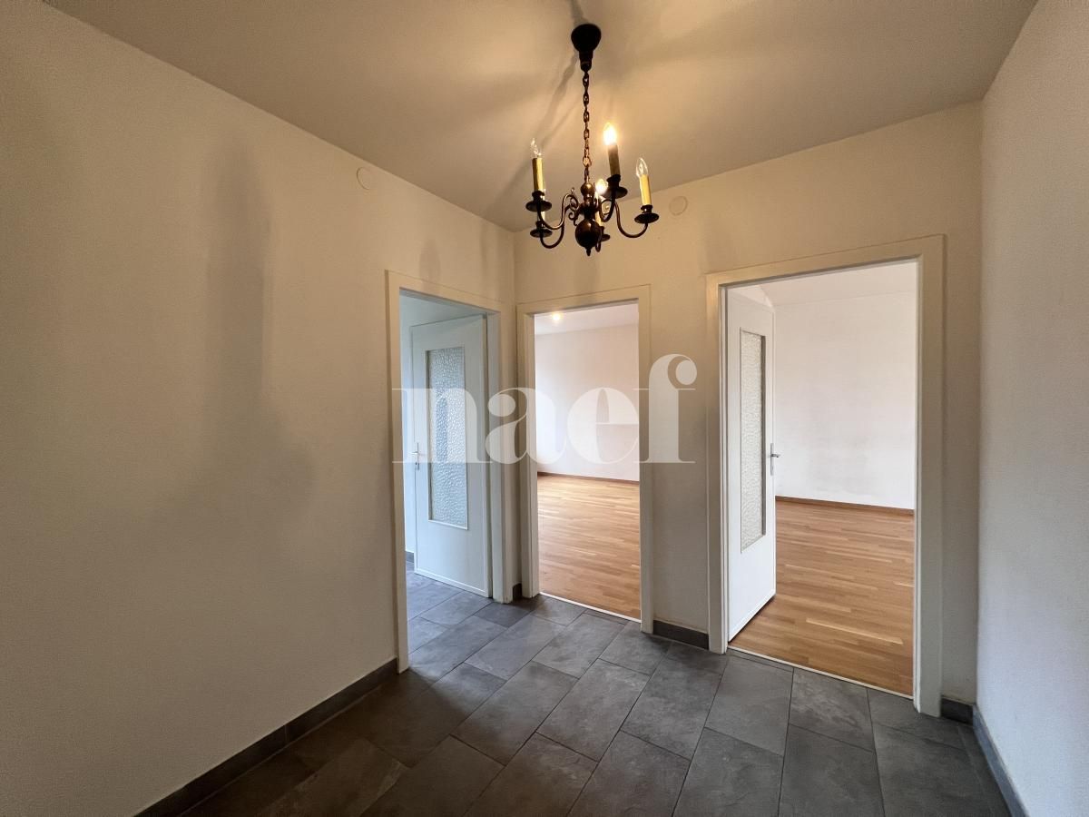 À louer : Appartement 3.5 Pieces Fribourg - Ref : 296083.5002 | Naef Immobilier