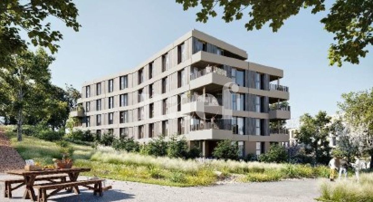 À louer : Appartement 1 Pieces Crissier - Ref : 299037.1 | Naef Immobilier