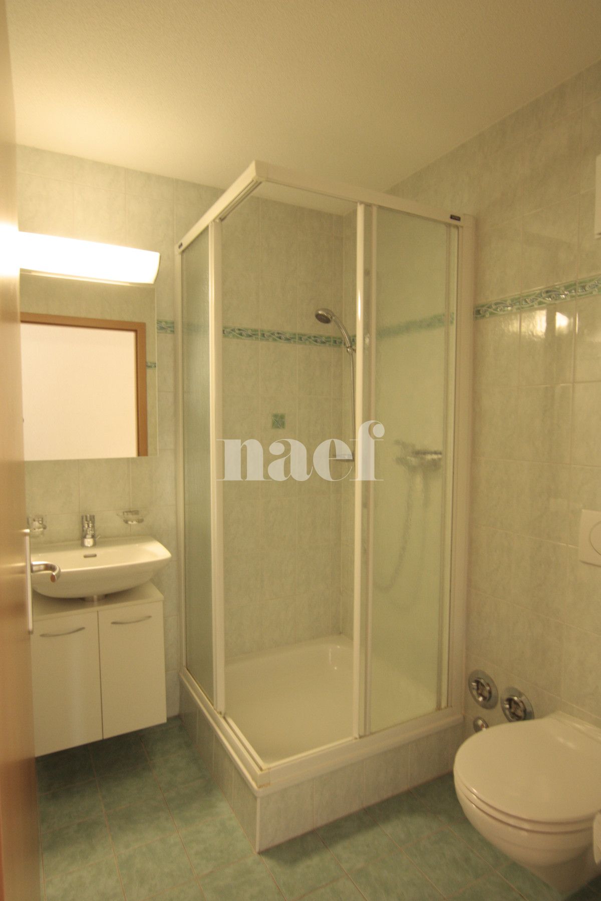 À louer : Appartement 5.5 Pieces Ecublens - Ref : 299431.4001 | Naef Immobilier