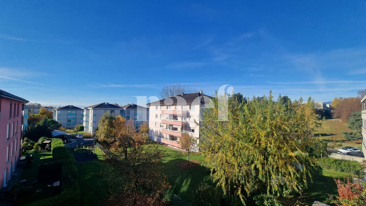 À louer : Appartement 5.5 Pieces Ecublens - Ref : 299431.4001 | Naef Immobilier