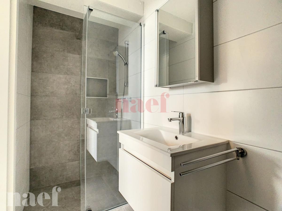 À louer : Appartement 1 Pieces Châtel-St-Denis - Ref : 299503.4003 | Naef Immobilier