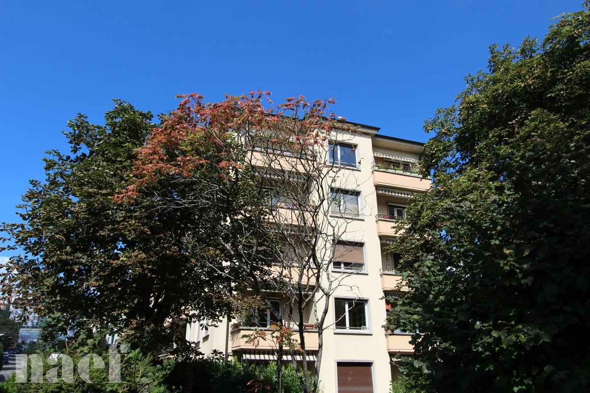 À louer : Appartement 1.5 Pieces Lausanne - Ref : 299541.35 | Naef Immobilier