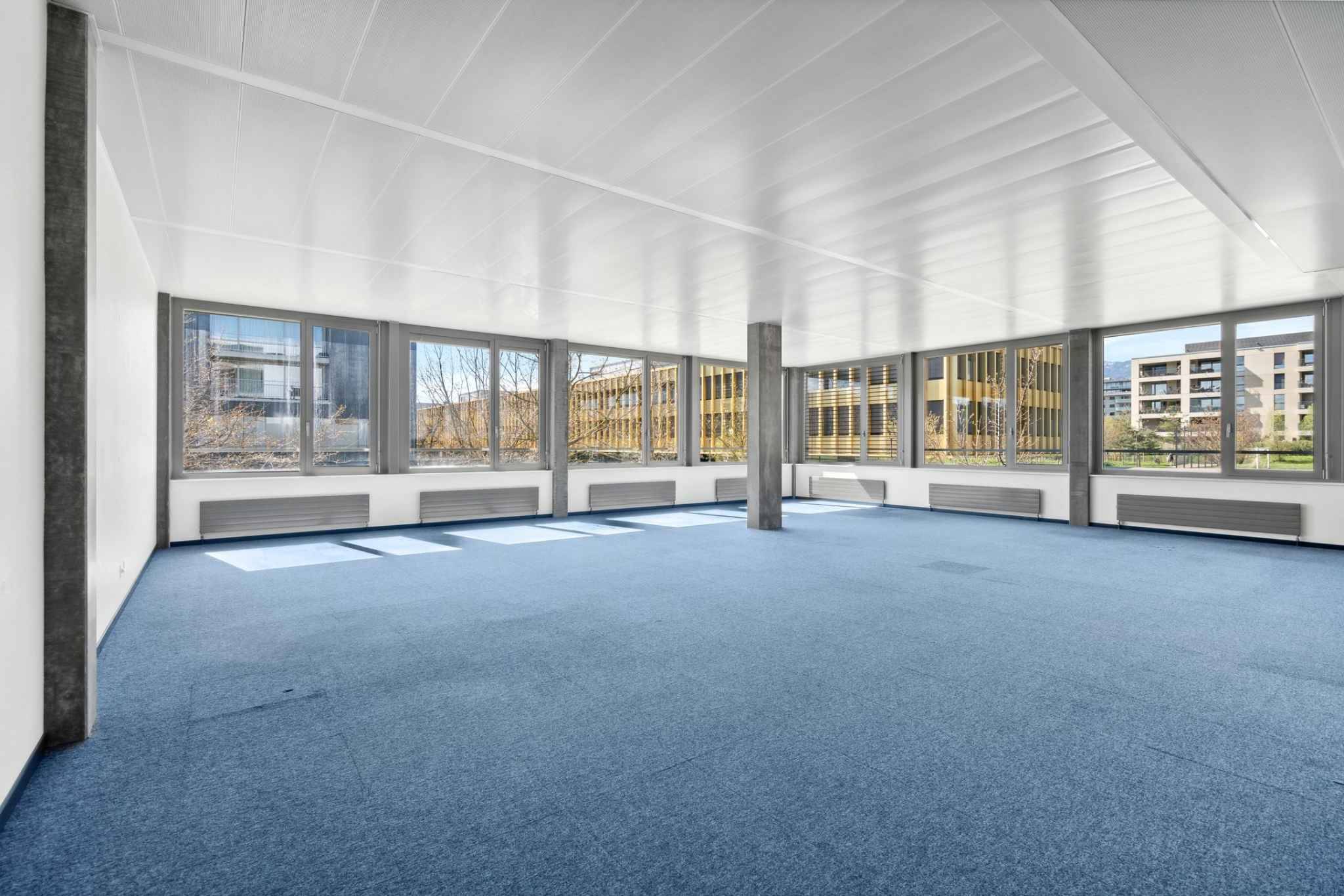 À louer : Surface Commerciale Arcade Nyon - Ref : 44558 | Naef Immobilier