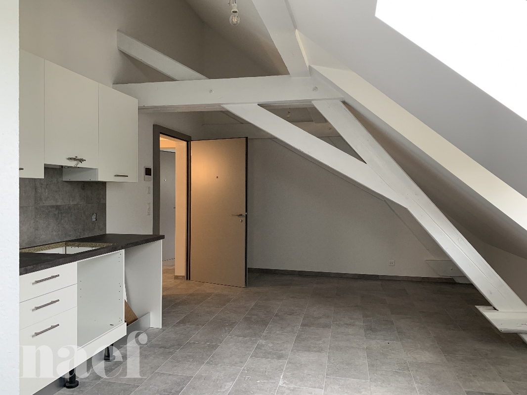 À louer : Appartement 1 Pieces Châtel-St-Denis - Ref : 47142 | Naef Immobilier