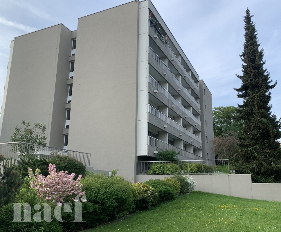 À louer : Appartement 1 Pieces Yverdon-les-Bains - Ref : 47682 | Naef Immobilier