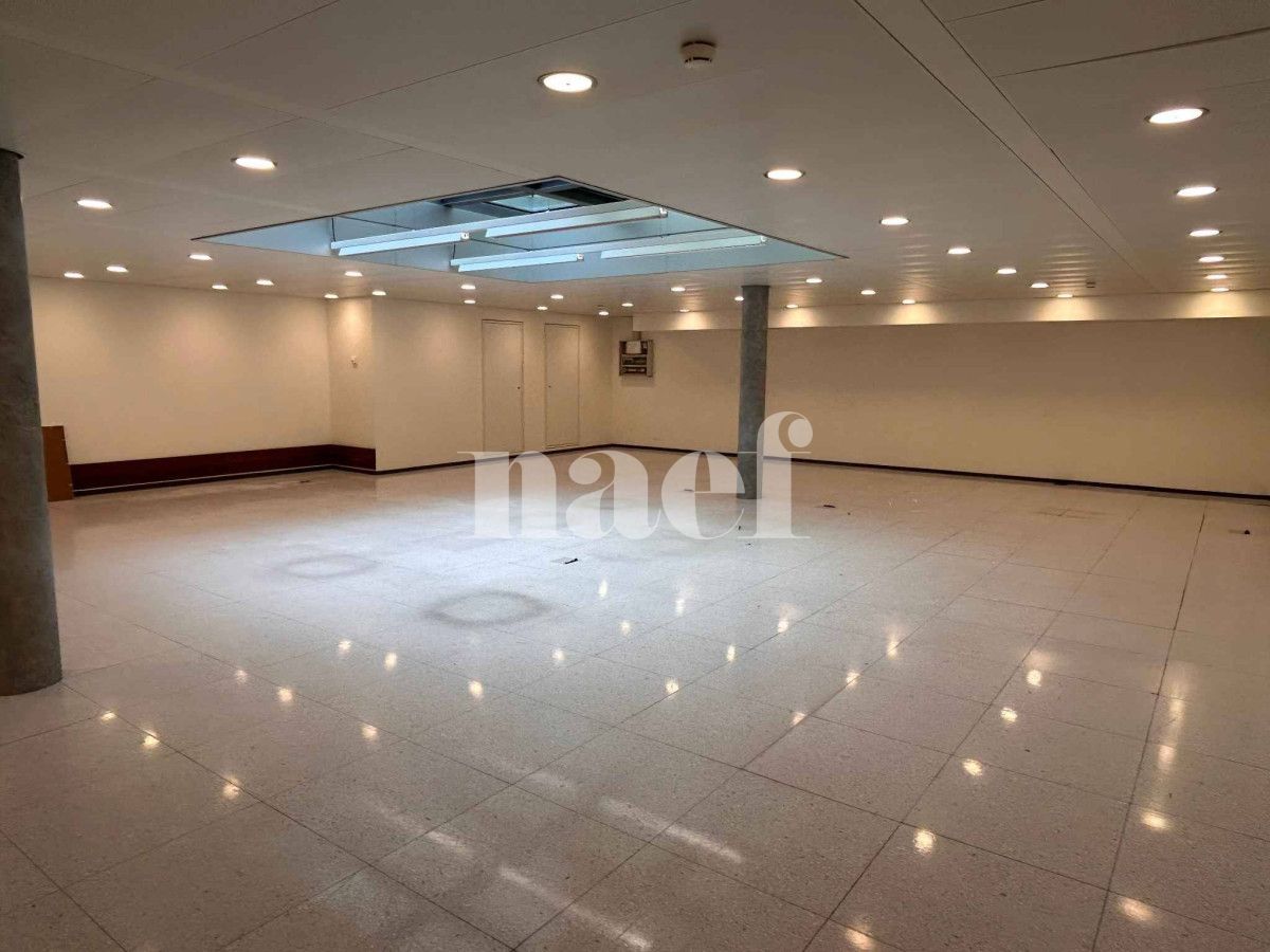 À louer : Surface Commerciale Bureau Nyon - Ref : CP.19533 | Naef Immobilier