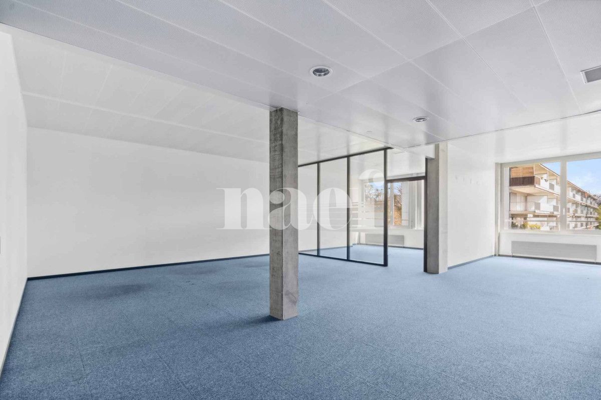 À louer : Surface Commerciale Bureau Nyon - Ref : CP.19684 | Naef Immobilier