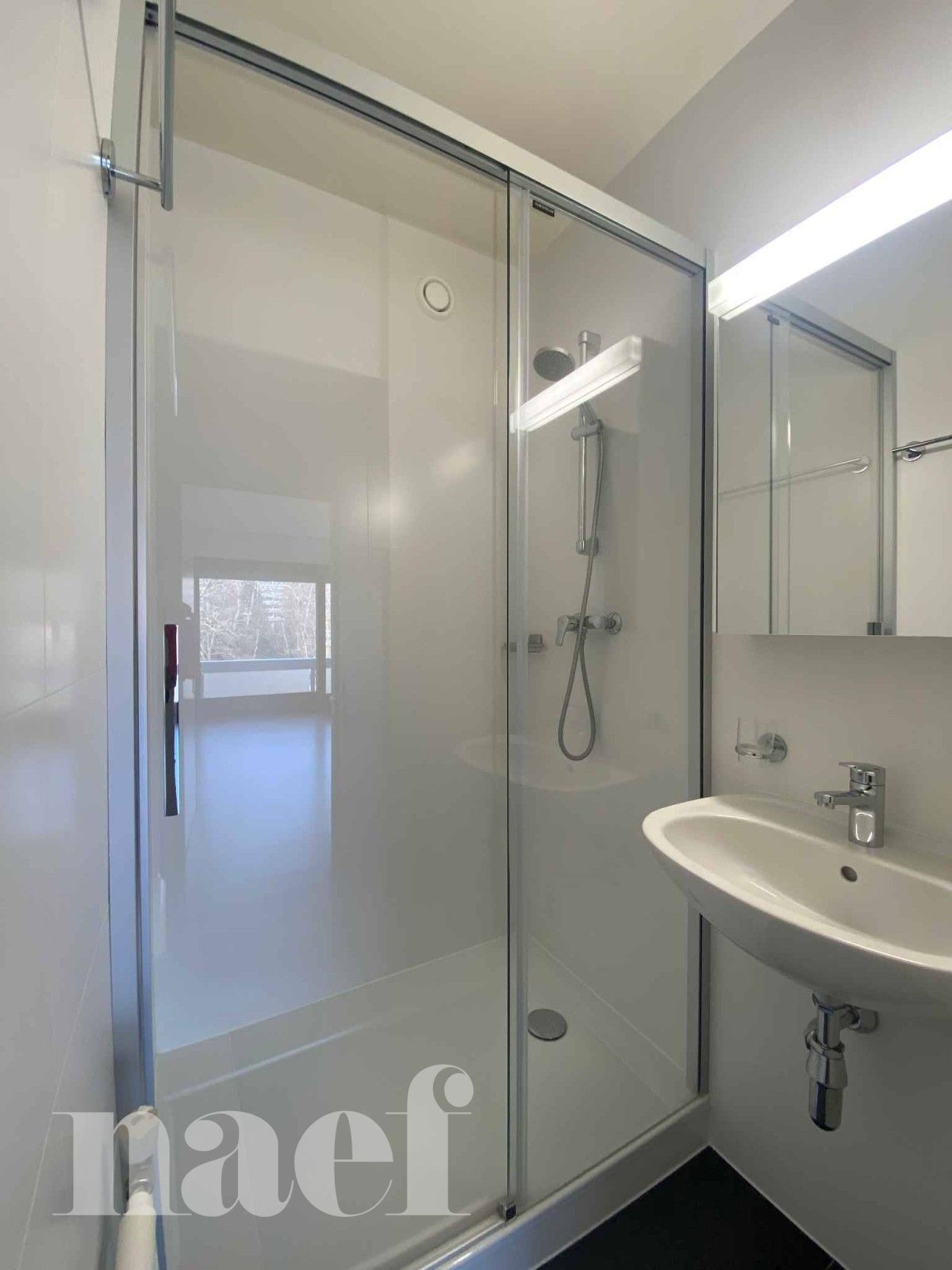 À louer : Appartement 6 Pieces Genève - Ref : CP.20383 | Naef Immobilier
