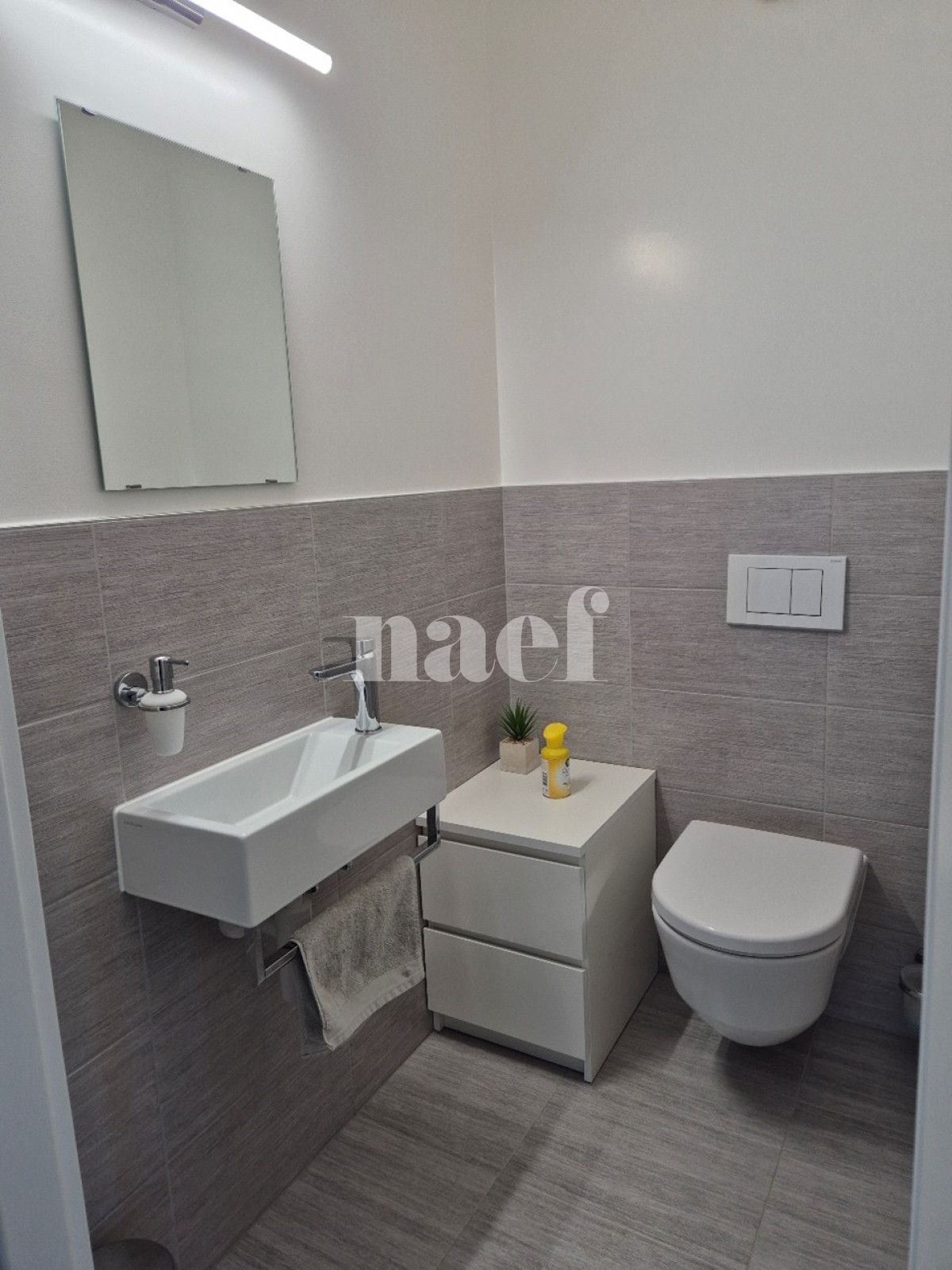 À louer : Appartement 3.5 Pieces Vich - Ref : EC.38423 | Naef Immobilier