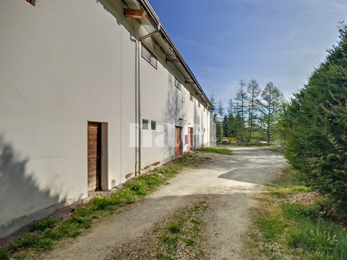 À louer : Dépôt Forel - Ref : EC.38435 | Naef Immobilier
