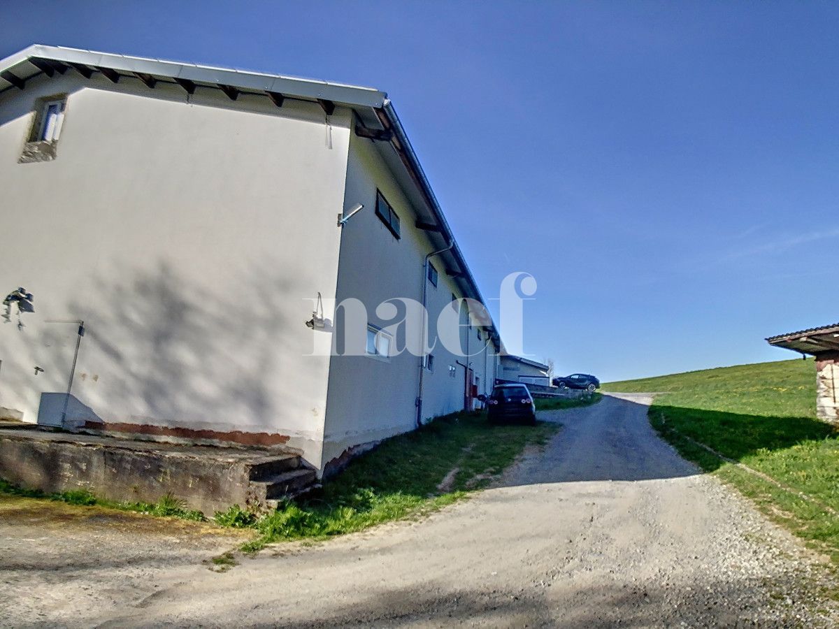 À louer : Dépôt Forel - Ref : EC.38435 | Naef Immobilier