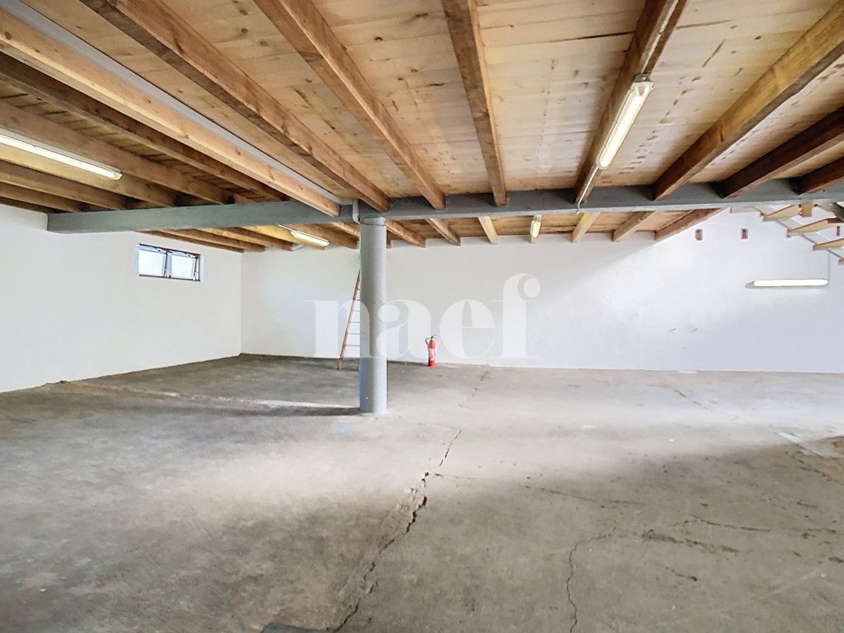 À louer : Dépôt Forel - Ref : EC.38435 | Naef Immobilier
