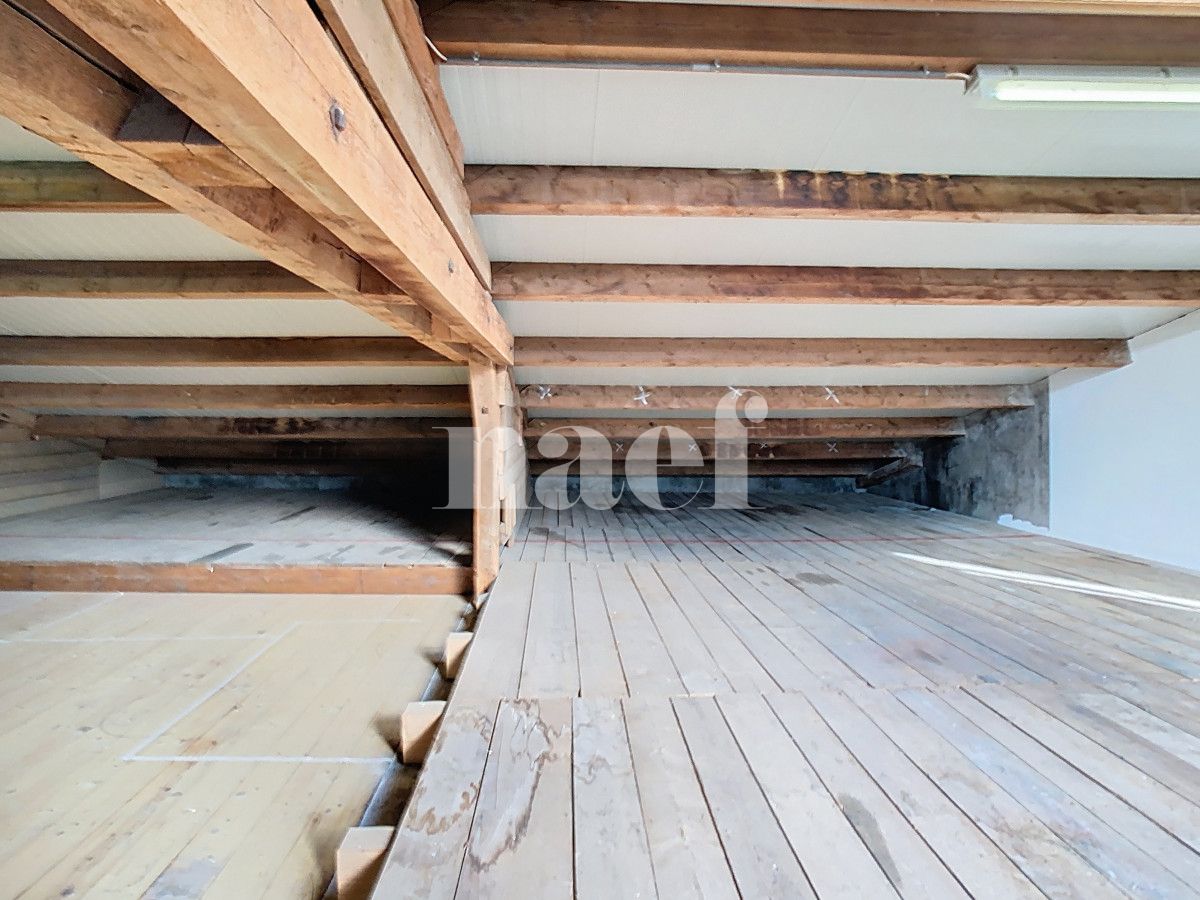 À louer : Dépôt Forel - Ref : EC.38435 | Naef Immobilier