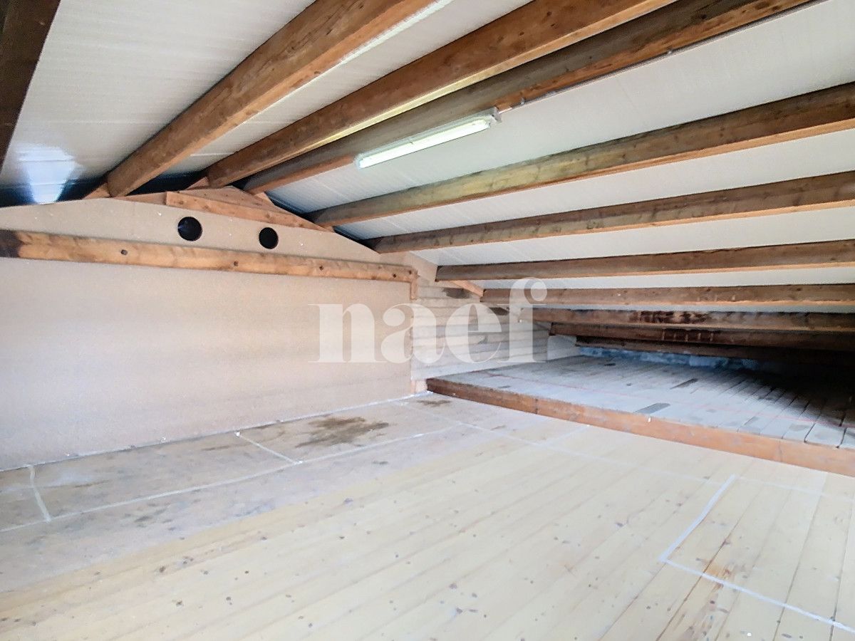 À louer : Dépôt Forel - Ref : EC.38435 | Naef Immobilier