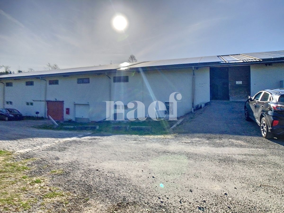 À louer : Dépôt Forel - Ref : EC.38435 | Naef Immobilier