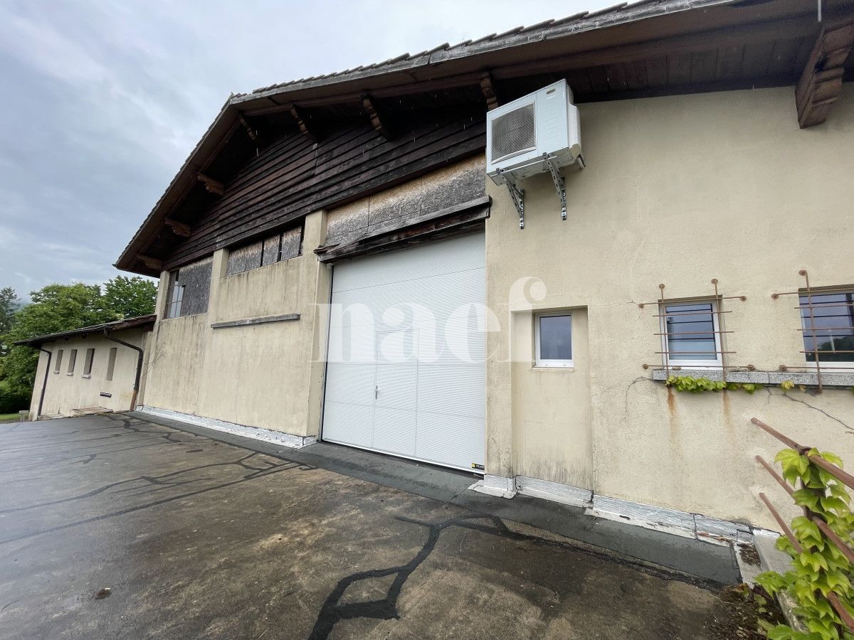 À louer : Dépôt Bursinel - Ref : EC.38604 | Naef Immobilier