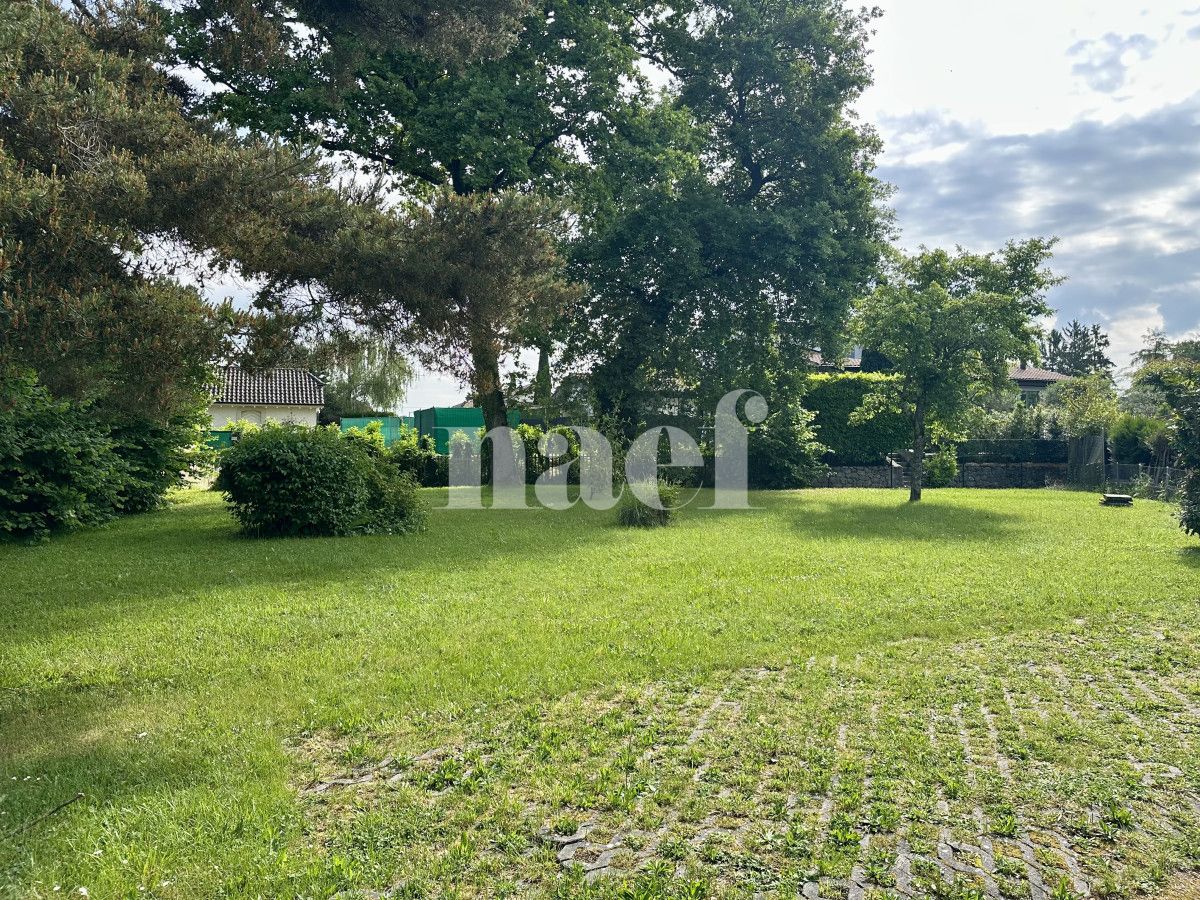 À louer : Appartement 4.5 Pieces Chêne-Bourg - Ref : EC.38606 | Naef Immobilier