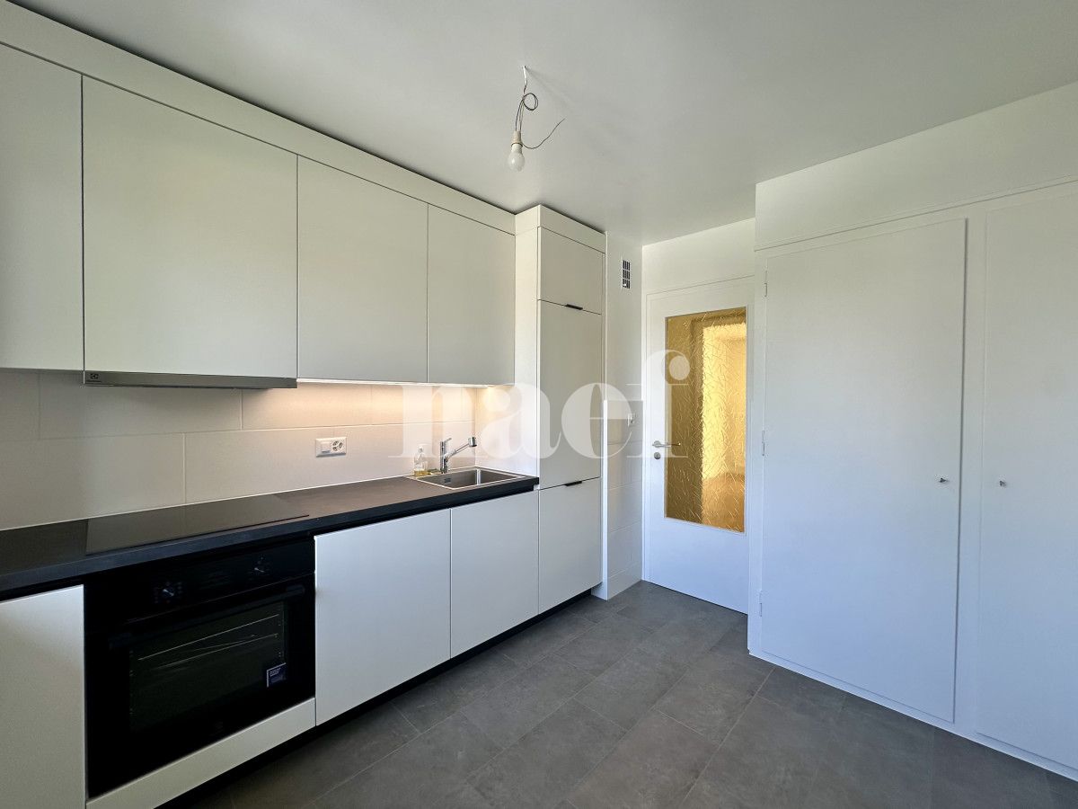 À louer : Appartement 4.5 Pieces Chêne-Bourg - Ref : EC.38606 | Naef Immobilier