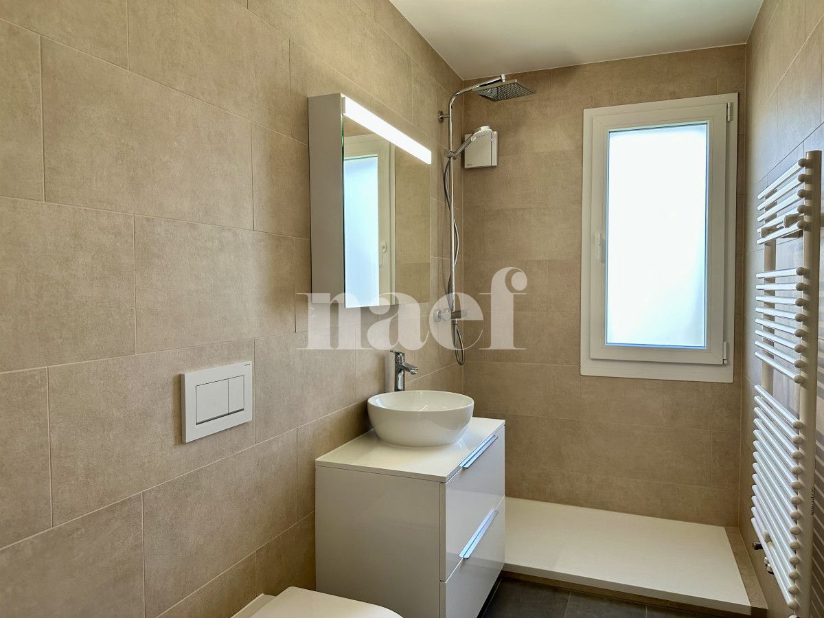 À louer : Appartement 4.5 Pieces Chêne-Bourg - Ref : EC.38606 | Naef Immobilier