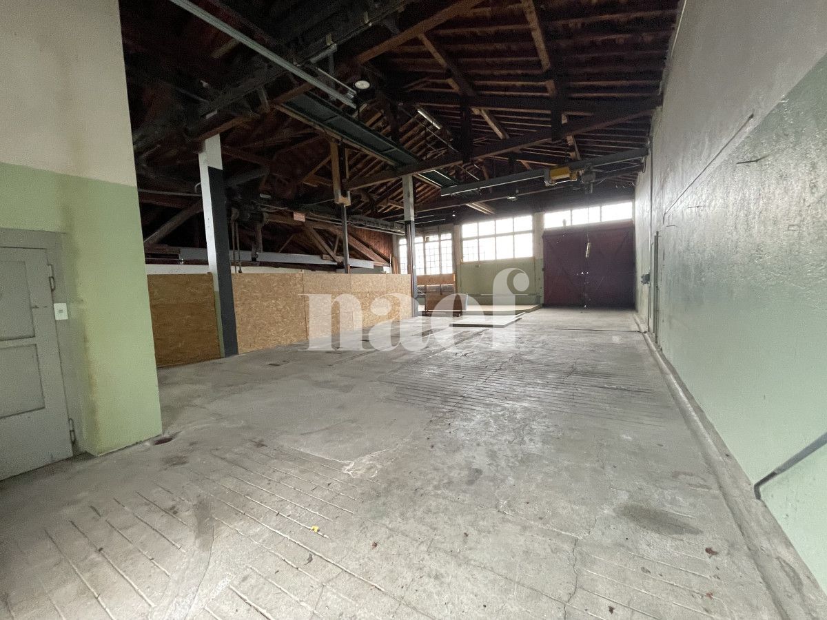 À louer : Dépôt Bursinel - Ref : EC.38686 | Naef Immobilier