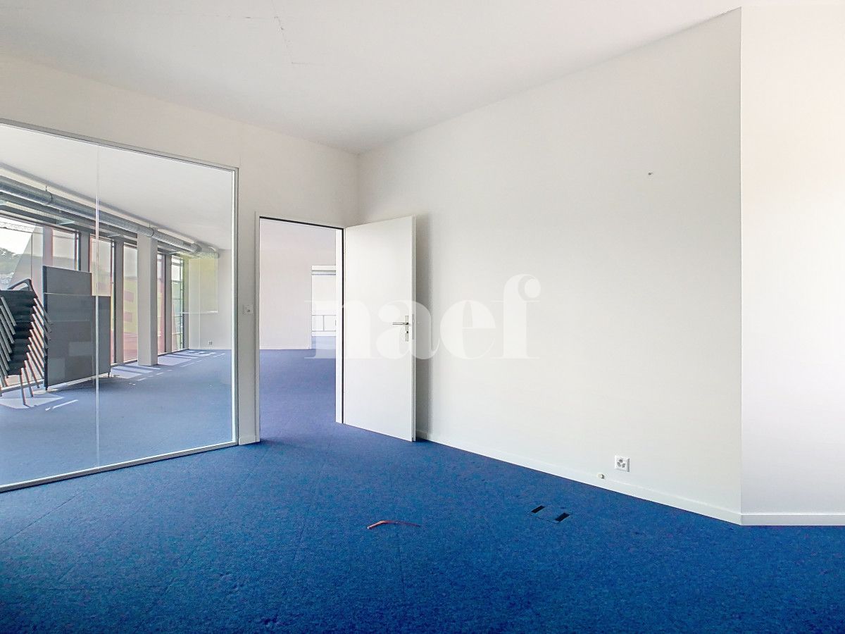 À louer : Surface Commerciale Bureau Puidoux - Ref : EC.38918 | Naef Immobilier