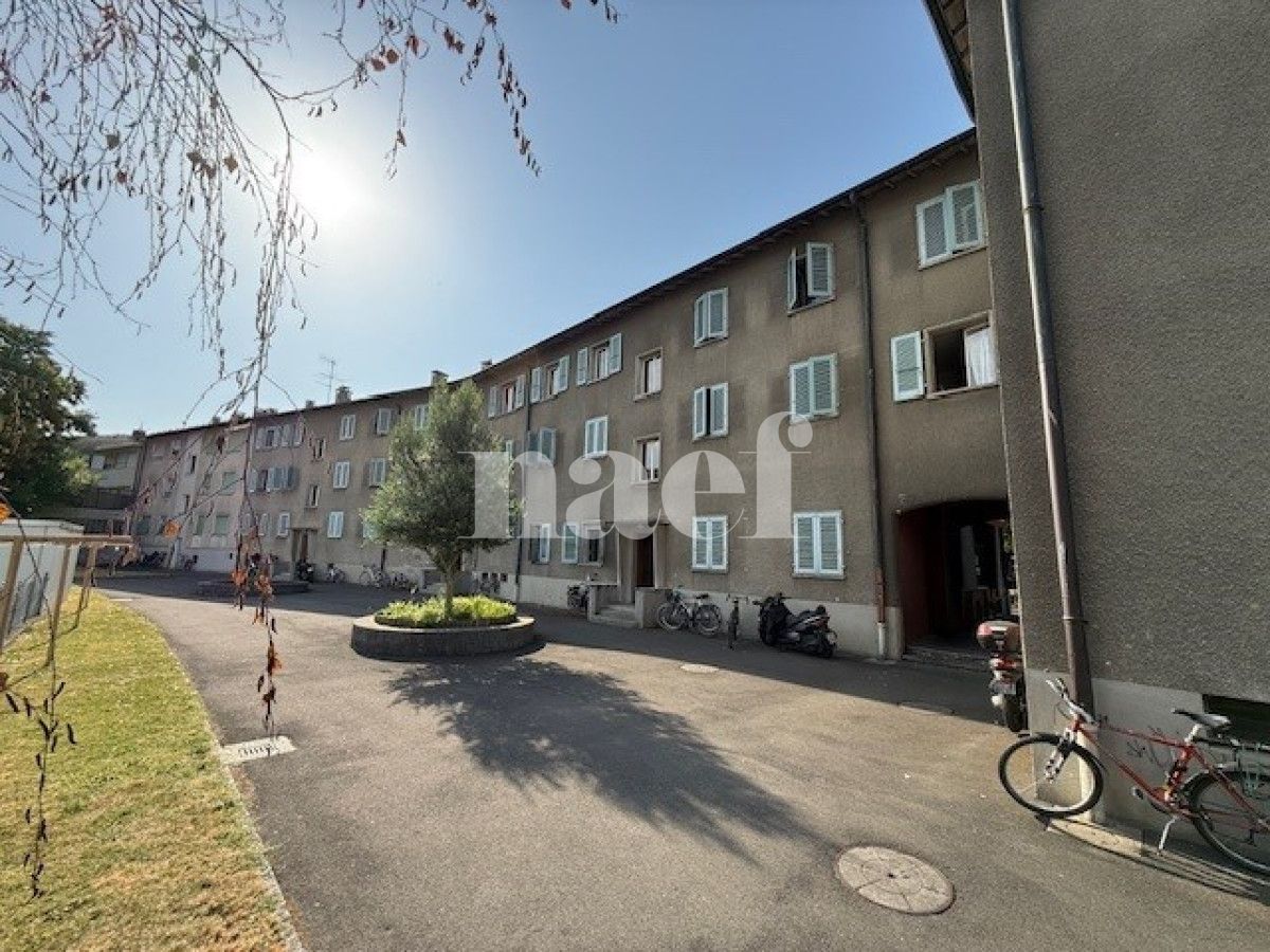 À louer : Appartement 3.5 Pieces Carouge - Ref : EC.39290 | Naef Immobilier