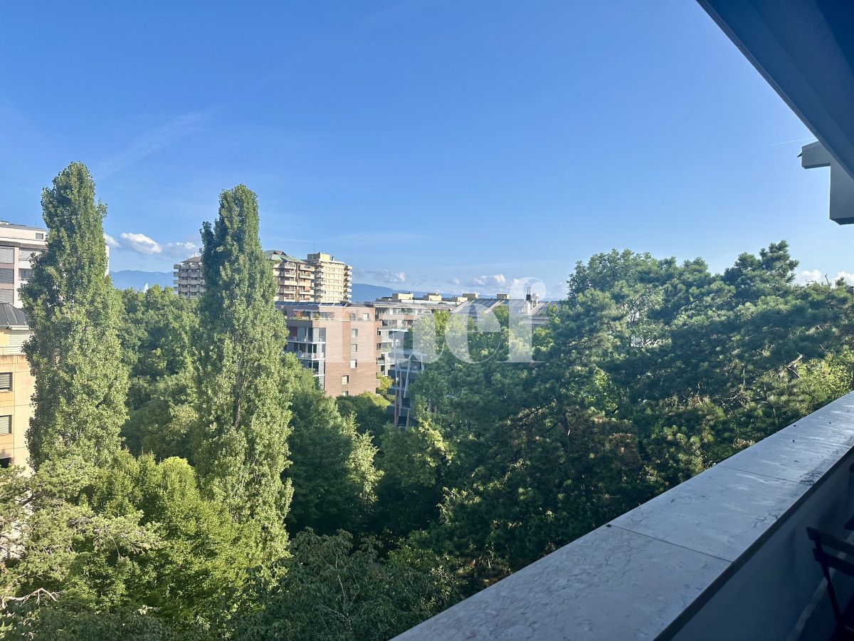 À louer : Appartement 2 Pieces Champel - Ref : EC.39682 | Naef Immobilier