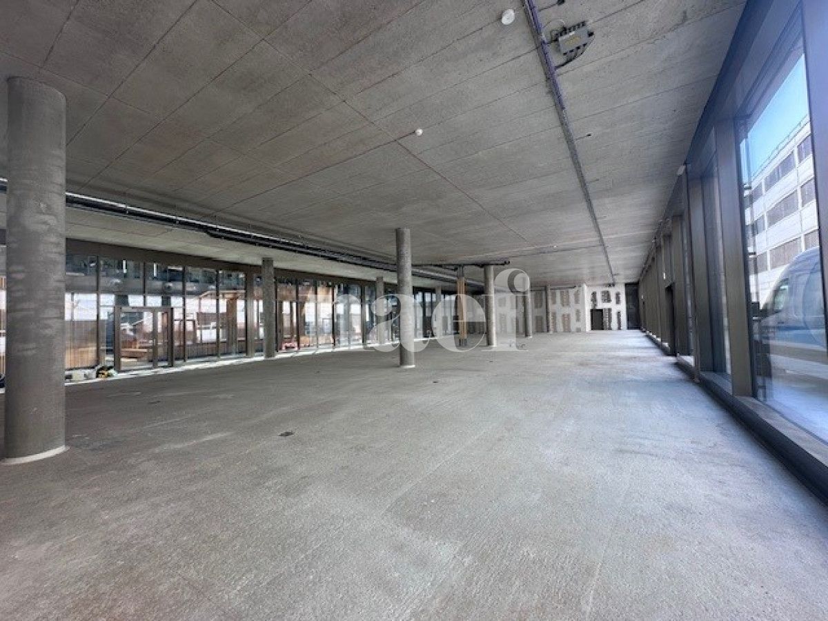 À louer : Surface Commerciale Arcade Plan-les-Ouates - Ref : EC.39883 | Naef Immobilier