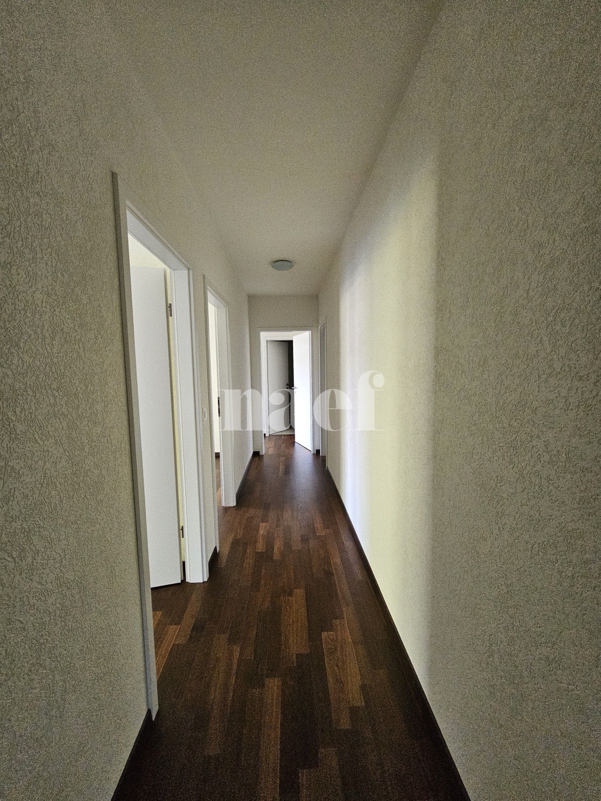 À louer : Appartement 5 Pieces Petit-Saconnex - Ref : EC.40660 | Naef Immobilier
