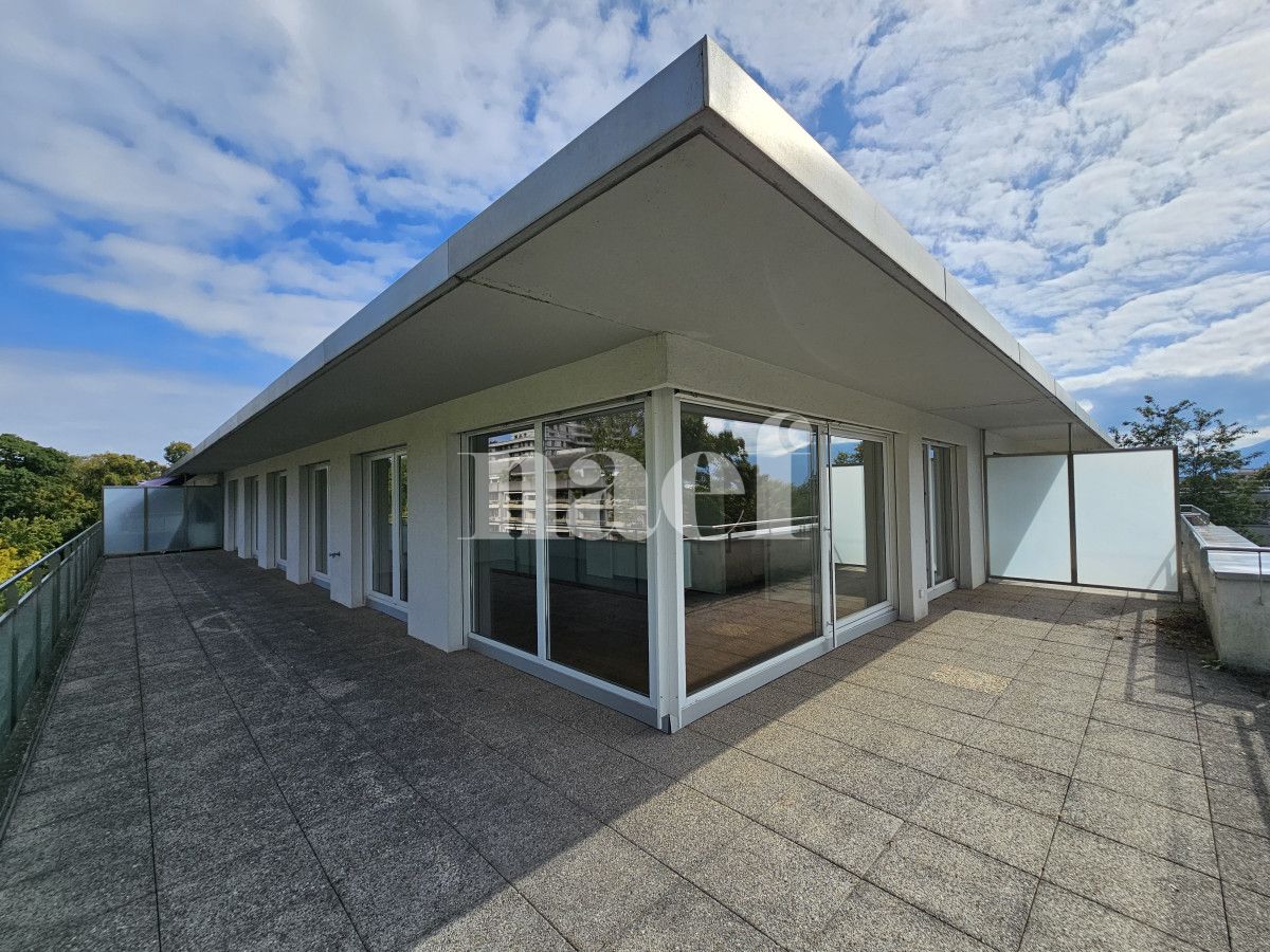 À louer : Appartement 5 Pieces Petit-Saconnex - Ref : EC.40660 | Naef Immobilier
