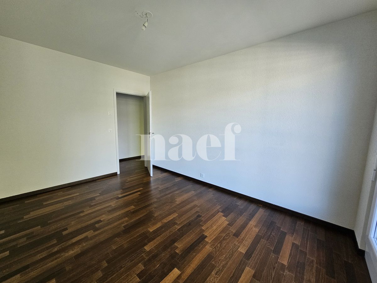À louer : Appartement 5 Pieces Petit-Saconnex - Ref : EC.40660 | Naef Immobilier