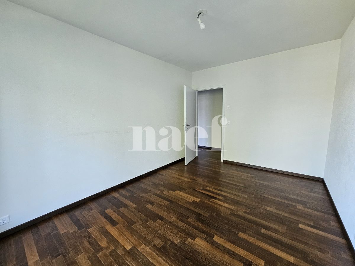 À louer : Appartement 5 Pieces Petit-Saconnex - Ref : EC.40660 | Naef Immobilier