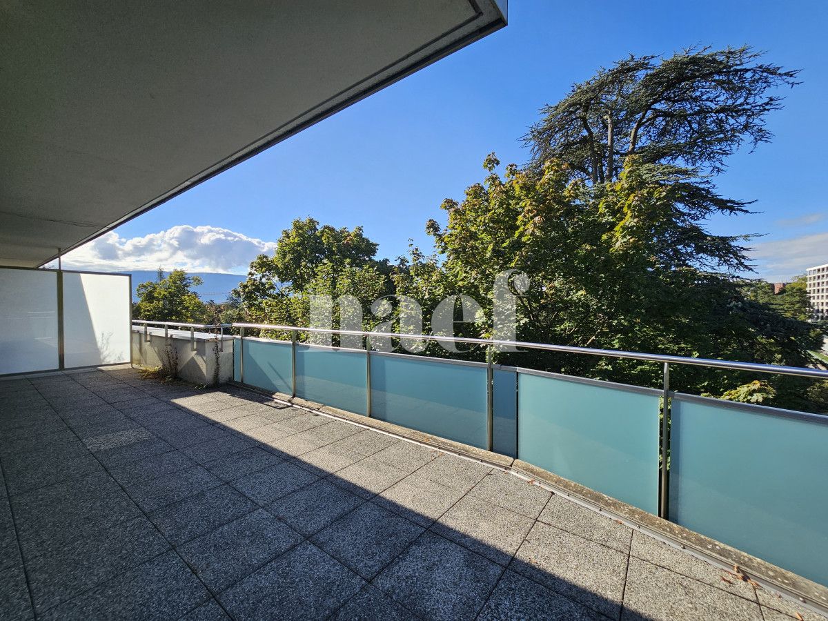 À louer : Appartement 5 Pieces Petit-Saconnex - Ref : EC.40660 | Naef Immobilier