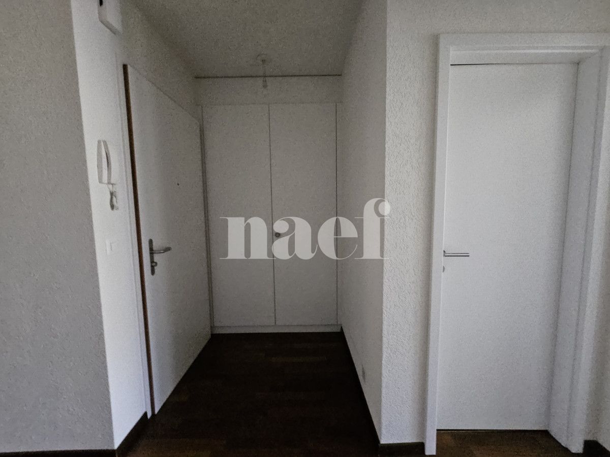 À louer : Appartement 5 Pieces Petit-Saconnex - Ref : EC.40660 | Naef Immobilier