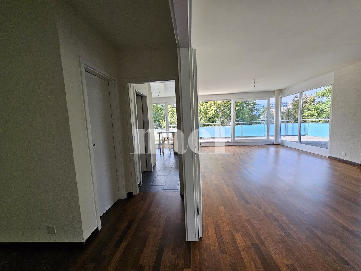 À louer : Appartement 5 Pieces Petit-Saconnex - Ref : EC.40660 | Naef Immobilier