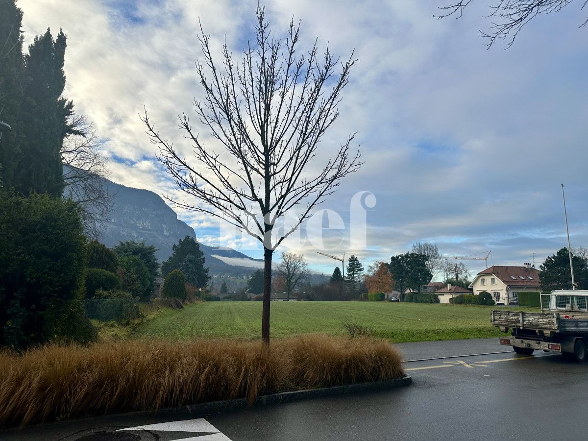 À louer : Maison 7 Pieces Veyrier - Ref : EC.41801 | Naef Immobilier