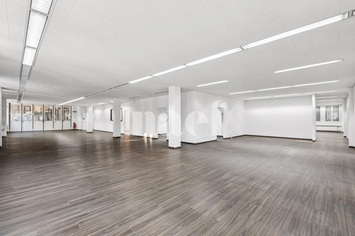 À louer : Surface Commerciale Atelier Marin Epagnier - Ref : EC.42113 | Naef Immobilier