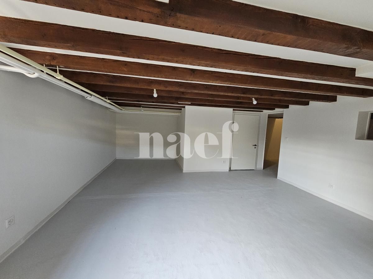 À louer : Maison 4.5 Pieces Petit-Lancy - Ref : EC.42466 | Naef Immobilier