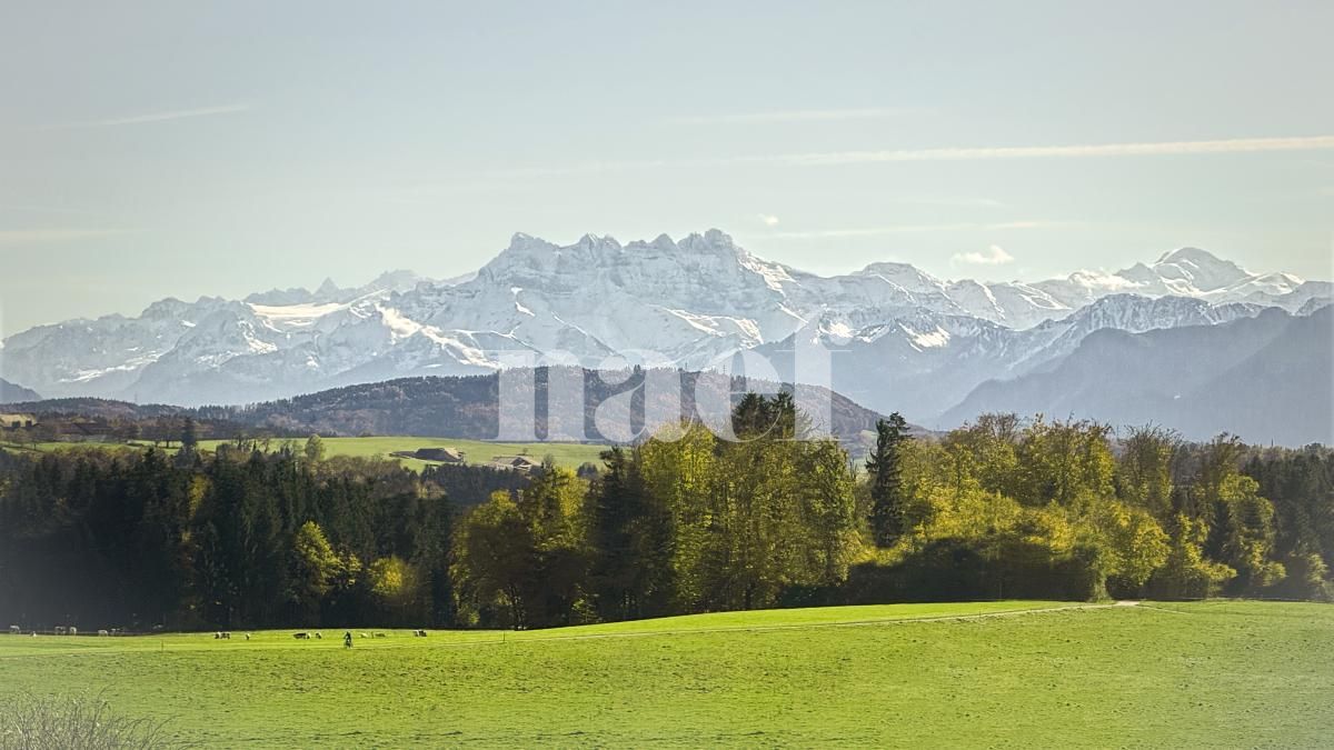 À louer : Appartement 4.5 Pieces Mossel (Ursy) - Ref : EC.42802 | Naef Immobilier