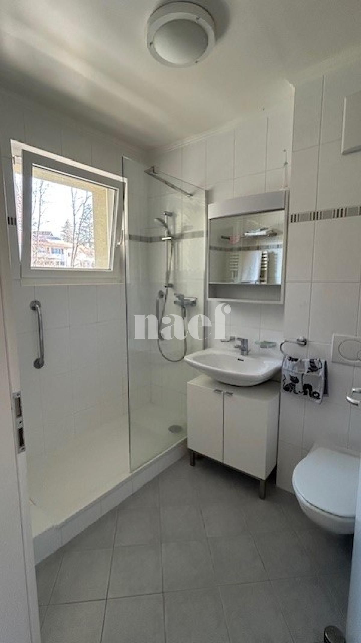 À louer : Appartement 2 Pieces Saint-Cergue - Ref : EC.43557 | Naef Immobilier